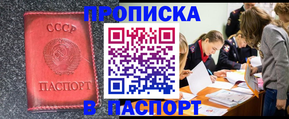прописка для школы в Лесном